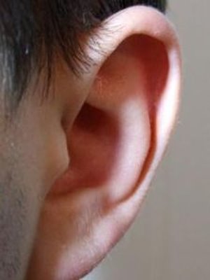 Schwerhörige nehmen Vibrationen intensiver wahr – Neue Untersuchung belegt: Sinnesverlagerung ist keine Kompensation