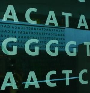 Gene: Forscher entdecken MS-Zusammenhang (Foto: pixelio.de, G. Schoenemann)