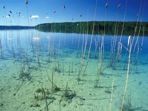 Dogma ade: Intakte Gewässer produzieren Methan – 70 Prozent des Anteils in der Atmosphäre stammen aus Flüssen und Seen