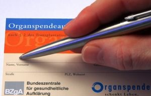 Organspender: werden häufig im Netz gefunden (Foto: pixelio.de, T. Wengert)
