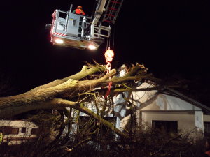 Oersdorf - Baum fiel auf Einfamilienhaus