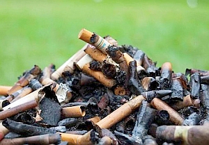 Zigarettenstummel: Sucht-Ausstieg misslingt trotz Tumor (Foto: Flickr/Lorenz)