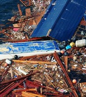 US-Westküste: Schwemmgut nach Japan-Beben – Behörden stellen sich auf angespülte Leichenteile und Schutt ein