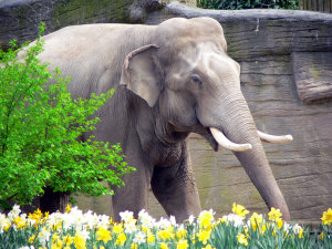 Osterspaß bei Hagenbeck