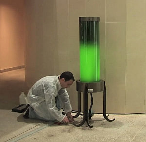 Algenlampe: spendet Licht und absorbiert CO2 (Foto: shamengo.com)