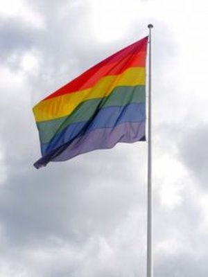US-Konzerne fordern Gleichstellung der Homo-Ehe – Offener Brief an Oberstes Gericht: Ungleichbehandlung Kostenfaktor