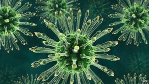 HIV: Abwehrreaktion macht Hoffnung auf Impfstoff – Hochwirksamer Antikörper aus Labor neutralisiert 55 Prozent der Proben