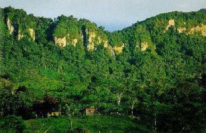 Nicaraguas Nebelwald in Gefahr – Illegale Siedler bedrohen UNESCO-Biosphären-Reservat