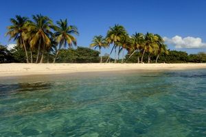 Kleinstaaten bieten Einbürgerung gegen Cash – Karibikinseln konkurrieren um Superreiche – Visumpflicht fällt weg