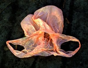 Plastiktüte: Bald Rohstoff statt Abfall (Foto: CFalk, pixelio.de)