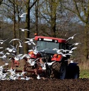 Arbeit auf dem Feld: hat Folgen für das Klima (Foto: pixelio.de, Kurt F. Domnik)