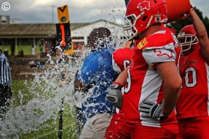 Cougars schlagen Tabellenführer Hamburg 41:21