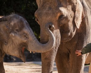 Abschied von Thura und Tochter Rani. © Lutz Schnier