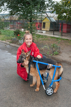 Alena Gerber im Einsatz für rumänische Streunerhunde – Deutsches Model besucht VIER PFOTEN-Projekt in Bukarest