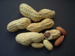 Erdnüsse: Früher Konsum beugt Allergie vor – 628 Babys getestet – Risiko um mehr als 80 Prozent reduziert