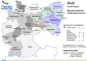 30.04.15 – 15 Jahre Wölfe in Deutschland – Steht ihr Schutz auf dem Spiel?