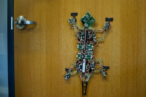 Mini-Roboter befördern 2.000-faches Eigengewicht – Entwicklung der „MicroTugs“ von Ameisen und Geckos inspiriert