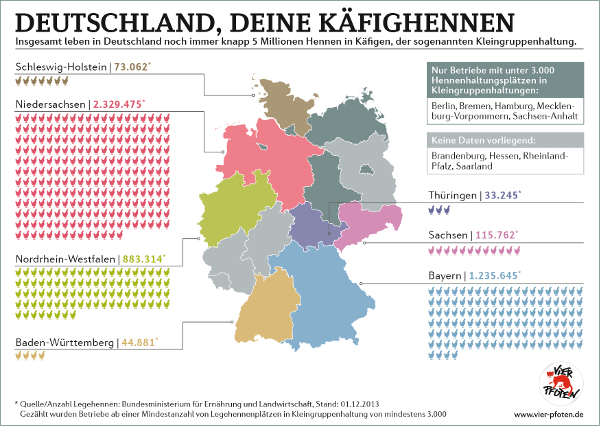 Grafik: Vier Pfoten