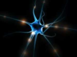 Energiekrise führt zu Zelltod bei Parkinson – Mitochondrien verausgaben sich bei Versorgung komplexer Neuronen