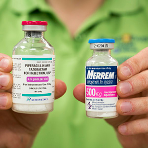 Neuer Antibiotika-Cocktail tötet MRSA-Keime – Drei unwirksame Medikamente sind gemeinsam hocheffizient