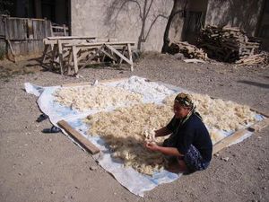 Schafwolle bekämpft Erdölkatastrophen effizient