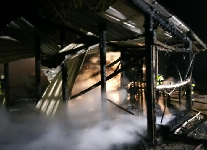 Pronstorf: Reitstall bei Feuer zerstört