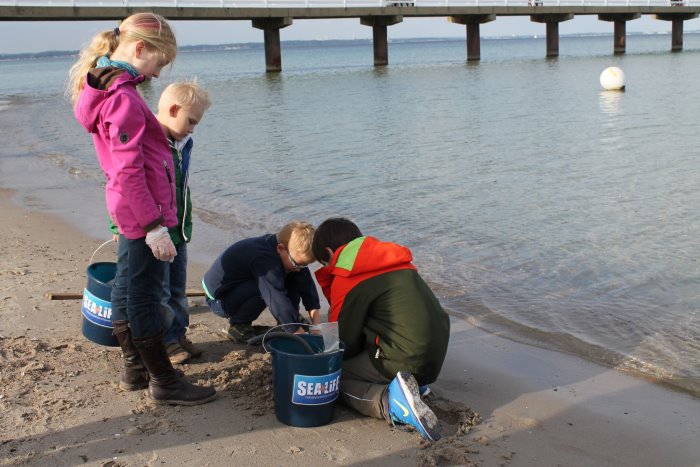 Das schwimmende Klassenzimmer – SEA LIFE startet neues Schulprojekt