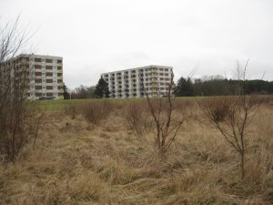 Ostholstein, Grömitz-Kurpromenade: Buschwerk illegal im Biotop gekürzt – Polizei ermittelt